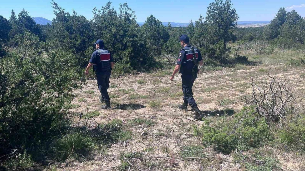 Kütahya’da orman yangınlarına karşı jandarma teyakkuza geçti