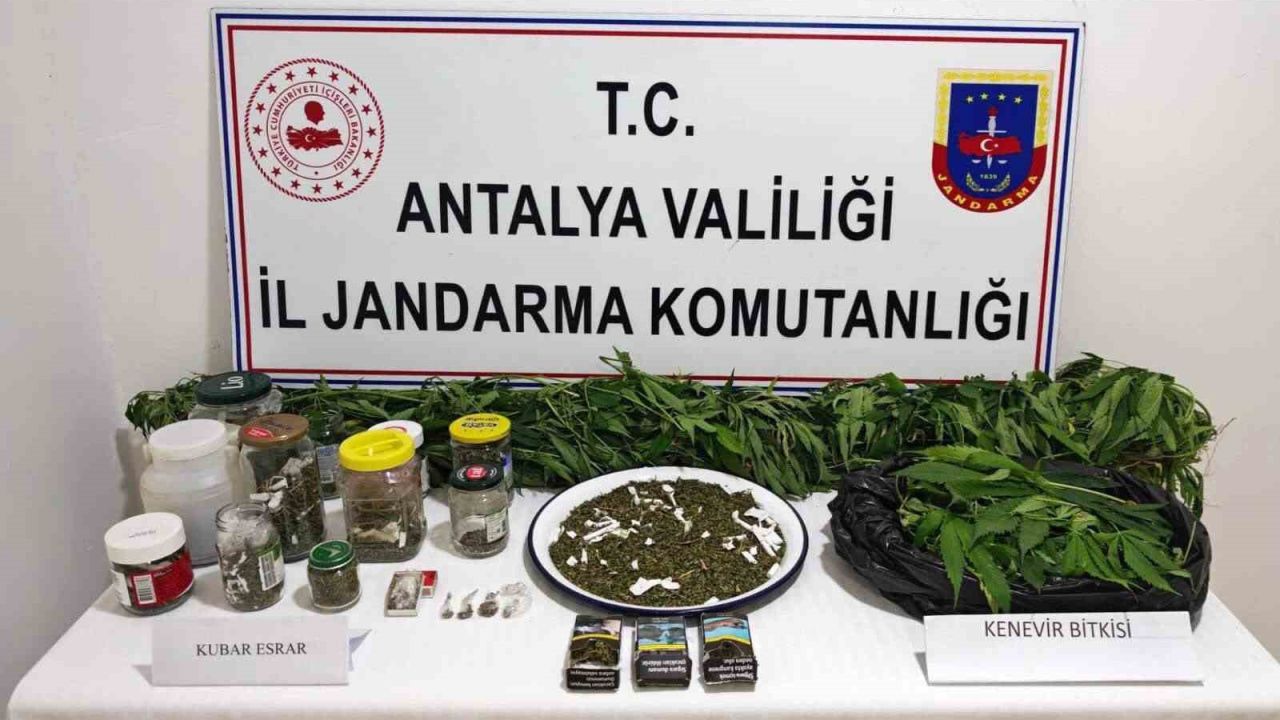 Manavgat’ta 2 kilo kubar esrar ve 130 kök kenevir ele geçirildi