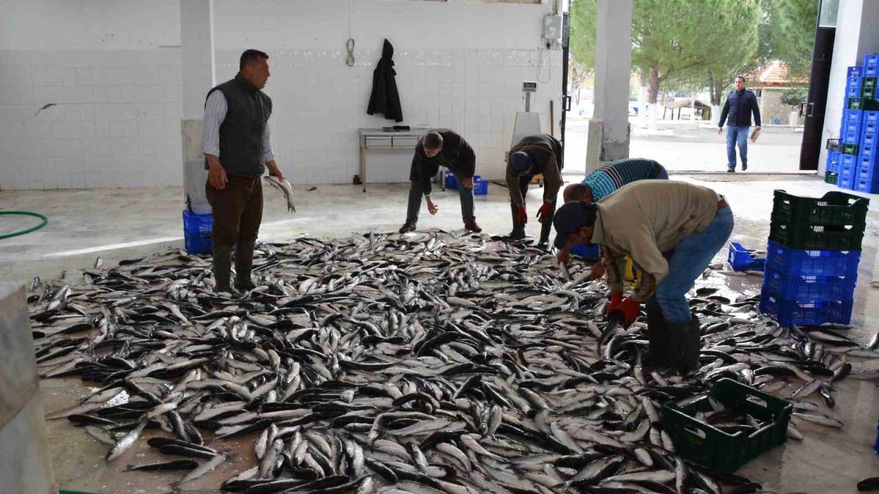 Muğla Mayıs ayında 71 milyon 870 bin TL dış ticaret fazlası verdi
