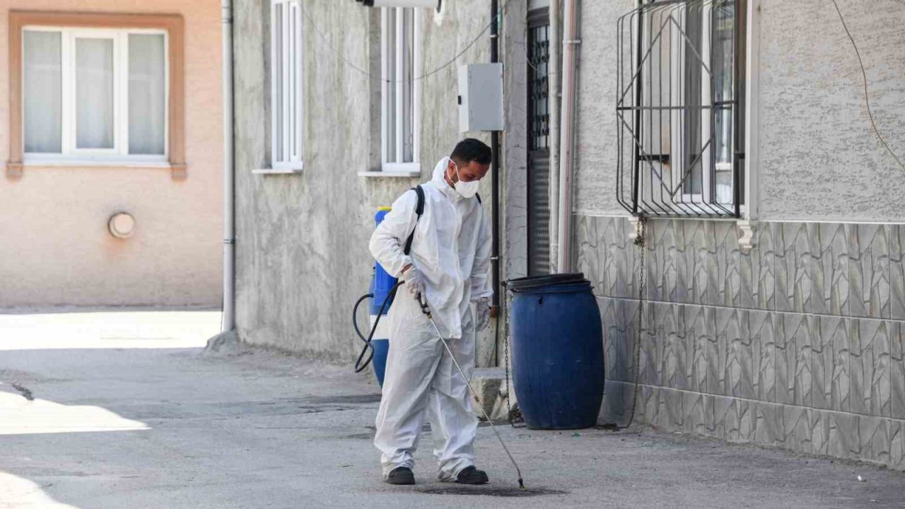 Osmangazi Belediyesi’nden haşereye karşı anında müdahale