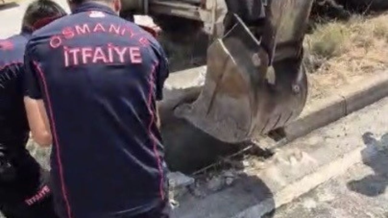 Osmaniye’de mazgala düşen yavru kedi itfaiye ekiplerince kurtarıldı