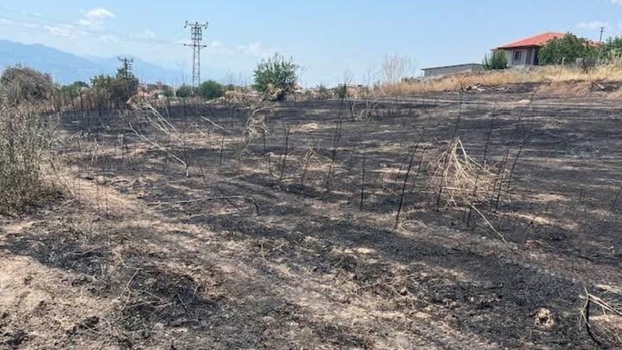 Otluk alanda çıkan yangın büyümeden söndürüldü