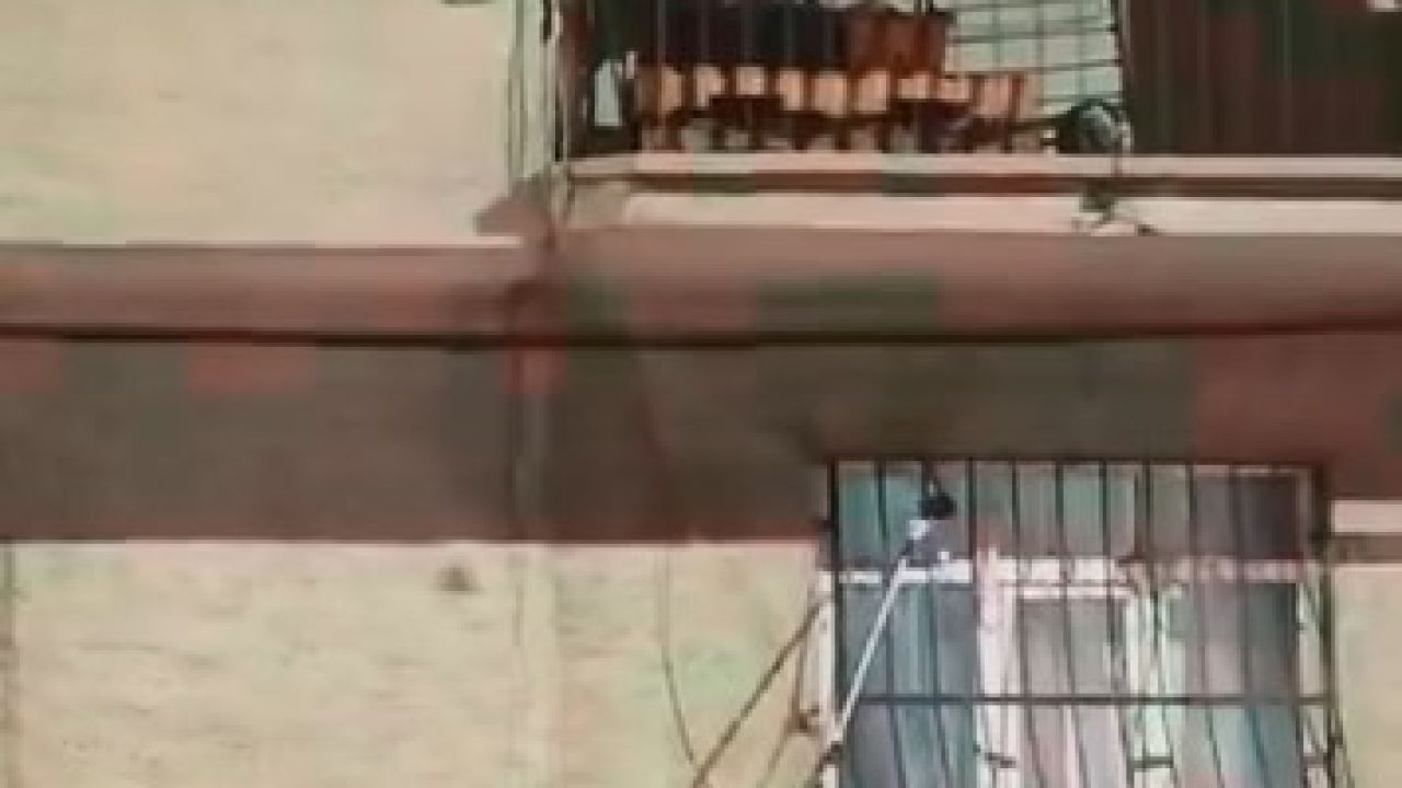 Pencere korkuluğundaki yılan ekiplerce yakalandı