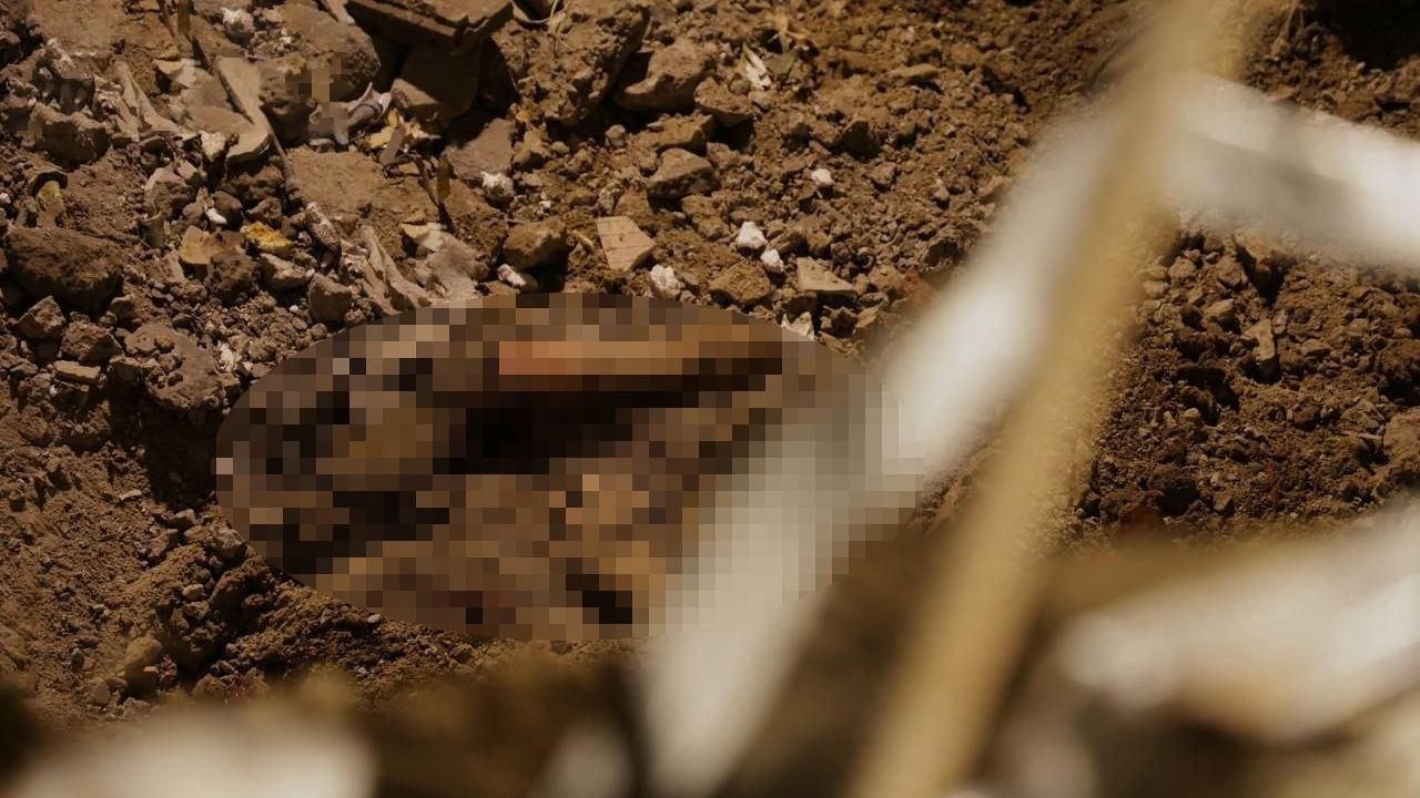 Rusya’nın Ukrayna saldırılarında can kaybı 29’a yükseldi