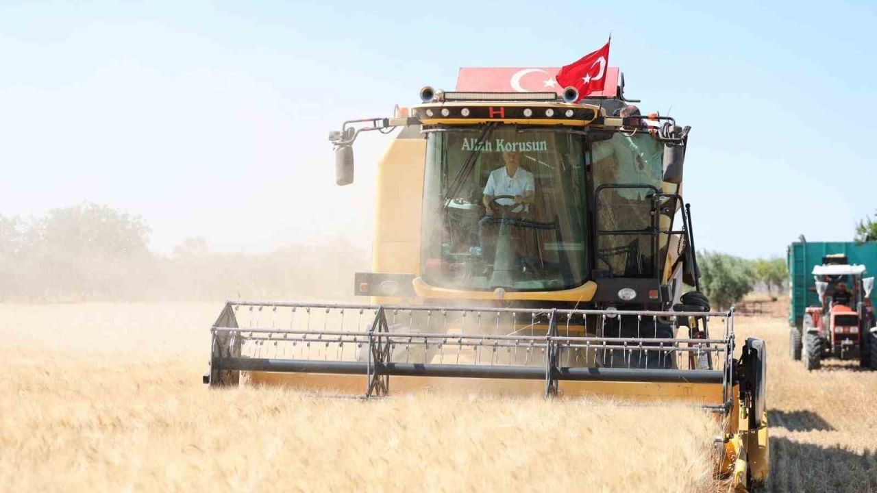Şahinbey’de çiftçiler buğday hasadından memnun