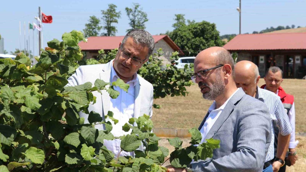 Samsun’da tarımsal üretim çalışmaları yerinde incelendi