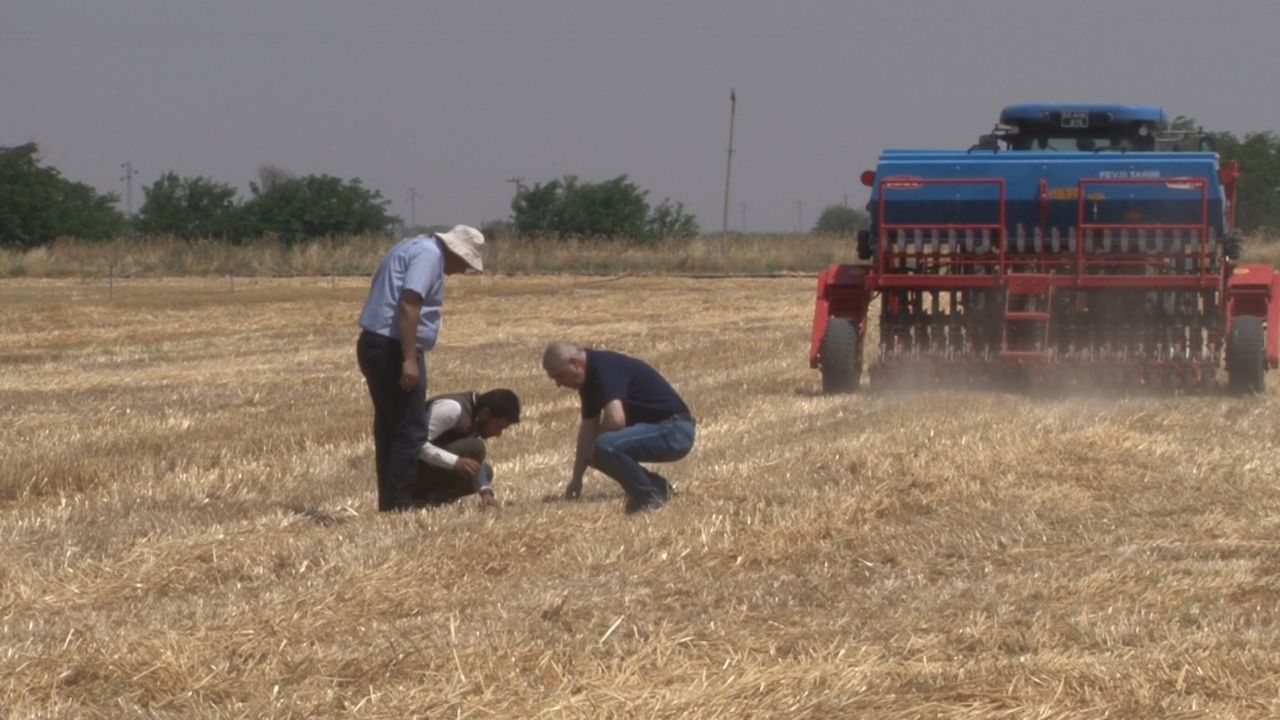 Şanlıurfa’da ’anız yakmadan üretim’ modeli yaygınlaşıyor: Toprak korunuyor çiftçi kazanıyor