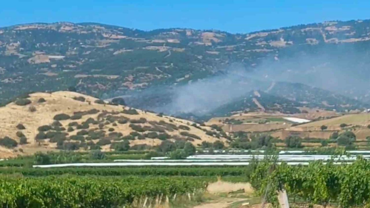 Sarıgöl’de orman yangını