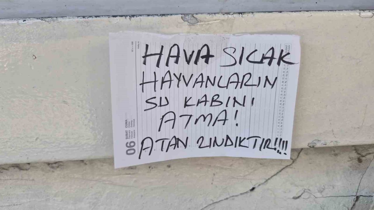 Sokak hayvanlarının su kabını atanlara ilginç tepki: "Atan zındıktır"