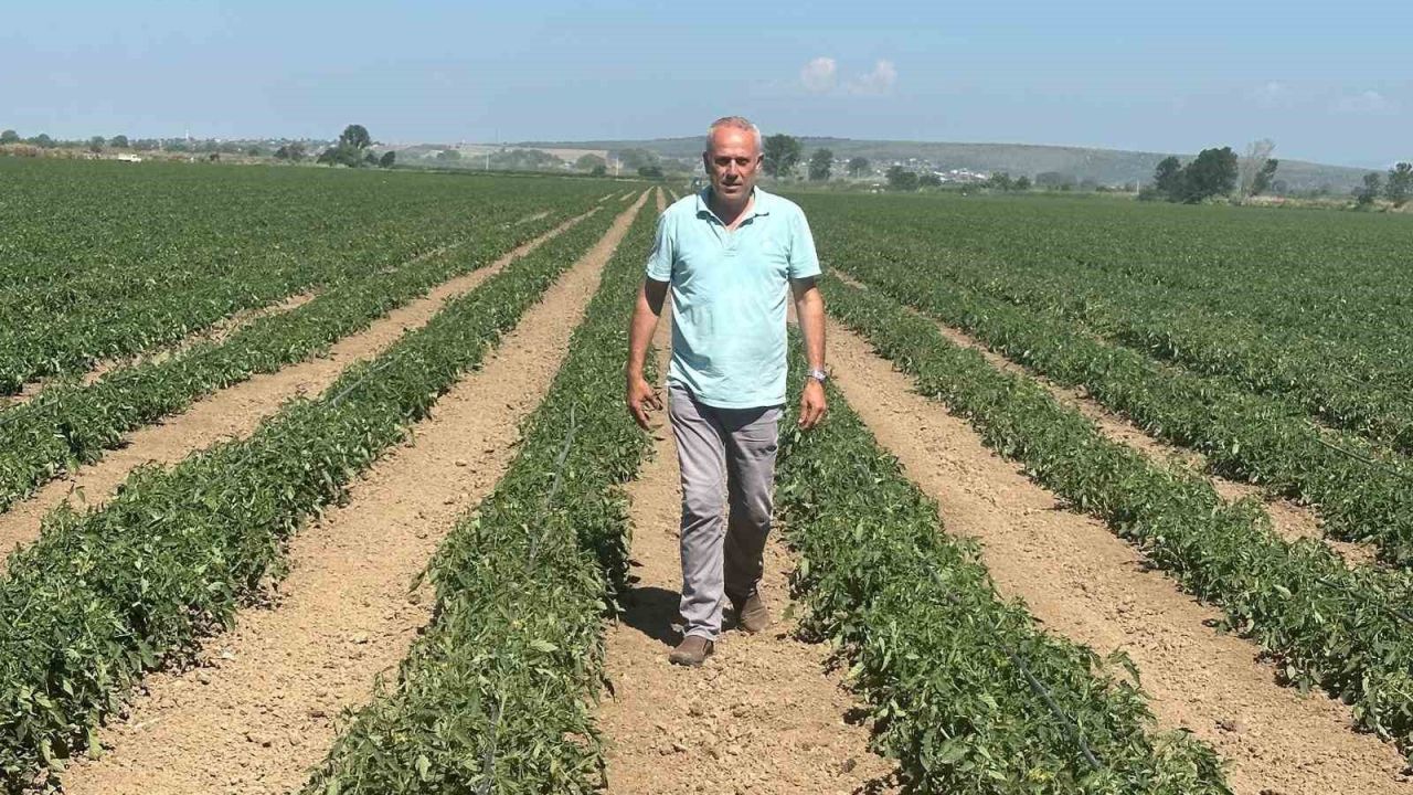 Sözleşme yaptığı firma ürünü almayınca 20 milyon lira zarar etti