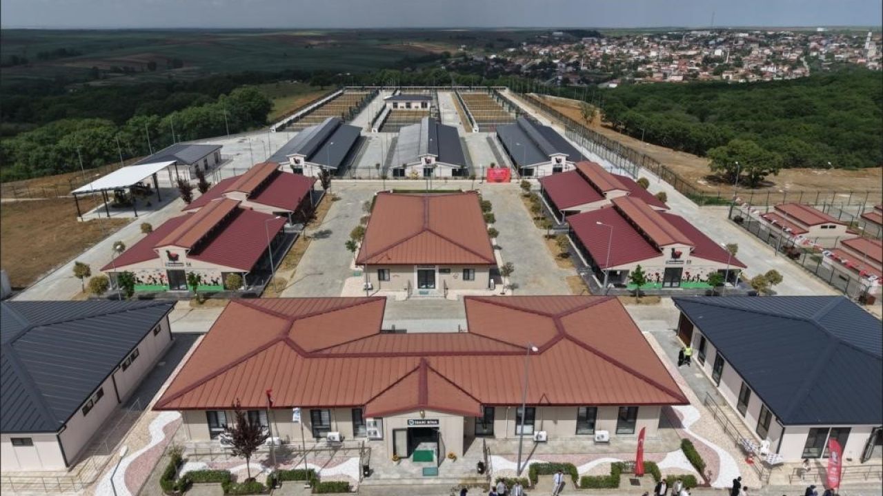 Tekirdağ’da 5 binden fazla sahipsiz hayvana umut oldular