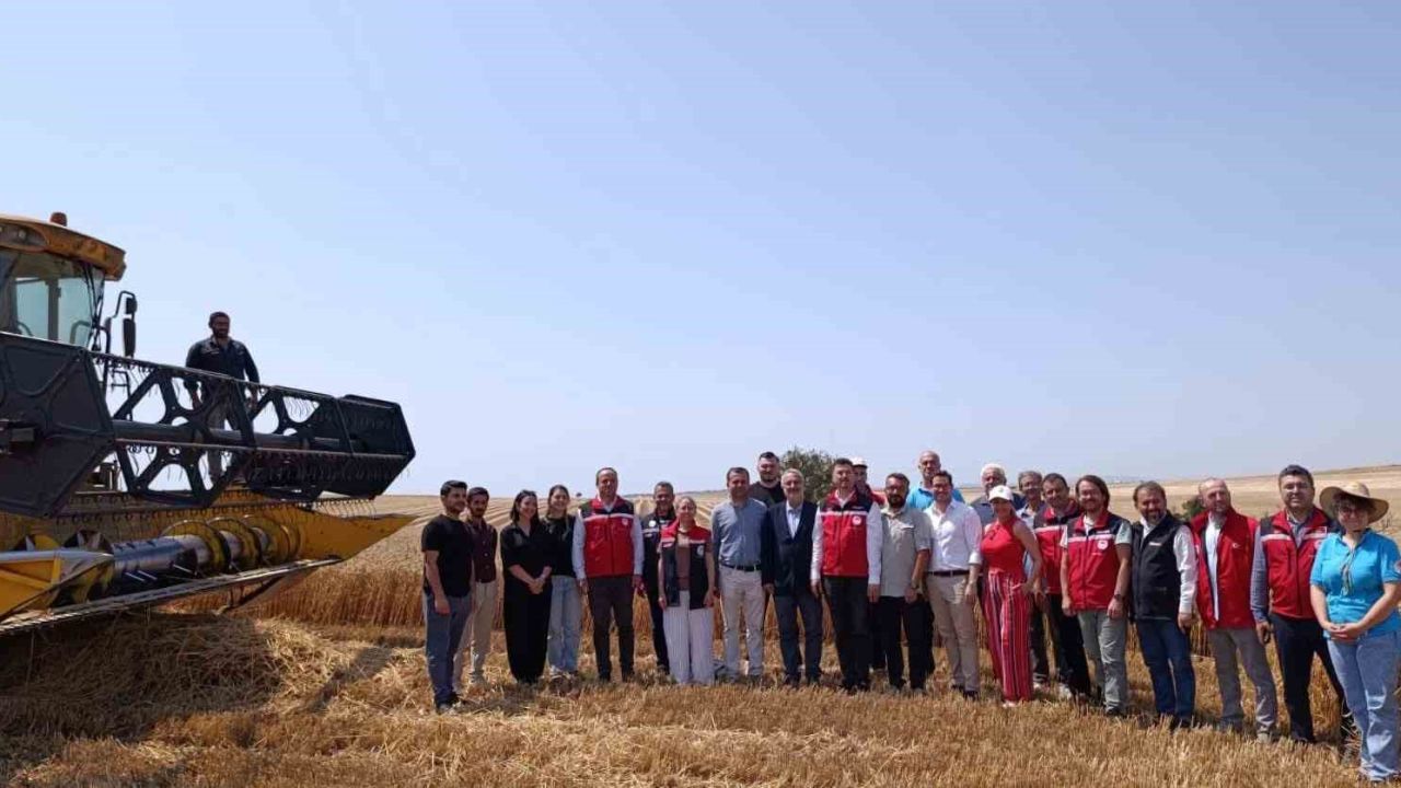 Tekirdağ’da bitkisel yağ üretiminde gıda güvenliği mercek altında