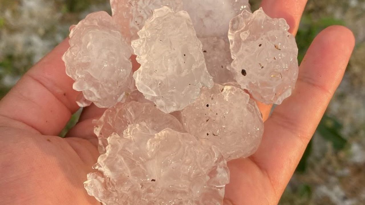 Tekirdağ’da dolu ayçiçeği ve karpuz tarlalarını vurdu