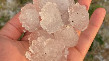 Tekirdağ’da dolu ayçiçeği ve karpuz tarlalarını vurdu