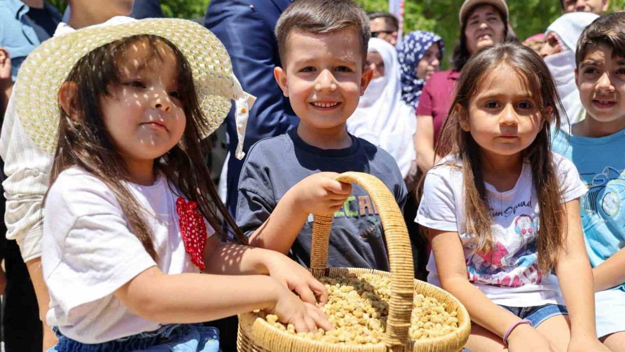 Ulukale dutunda bu yıl 650 ton rekolte beklentisi