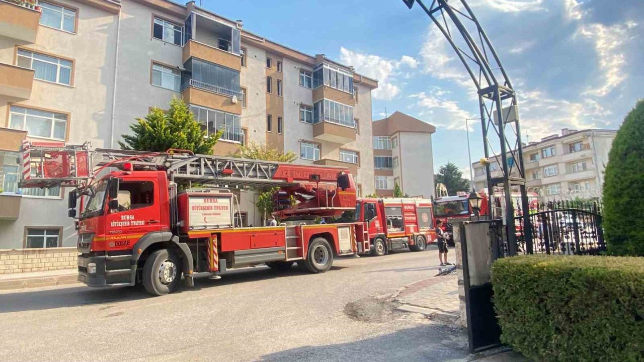 Yangında duygulandıran kurtarma: Anne kedi ve 2 yavrusu hayata döndürüldü