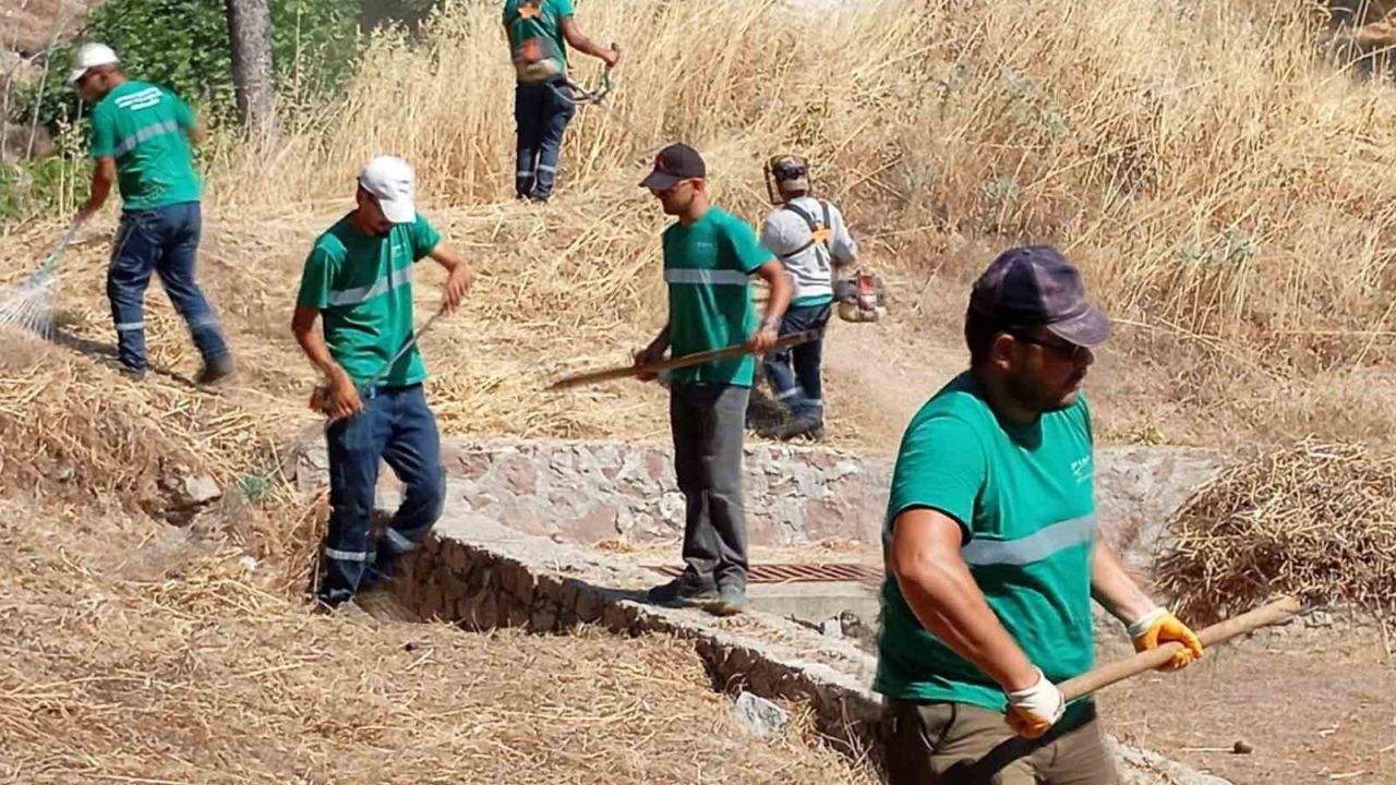Yangınlara karşı Ayvalık’ta kuru ot temizliği aralıksız sürüyor