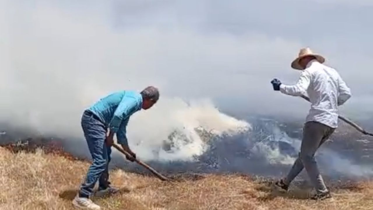 Yüksekova’da bin balya ot kül oldu